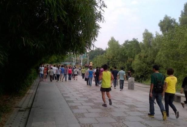 博士|她被称抗癌博士,43年转移复发三次,93岁总结出4条抗癌经验