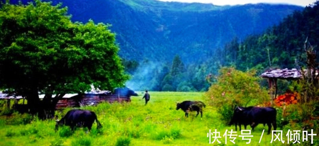 秋夜|「诗词欣赏」初唐王绩的诗:言语朴素自然,诗情画意交融