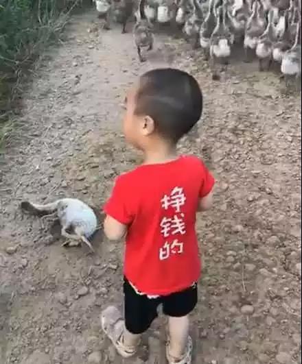 孩子|爸妈都要出差,把孩子给乡下奶奶带,奶奶发过来的照片,好可爱!