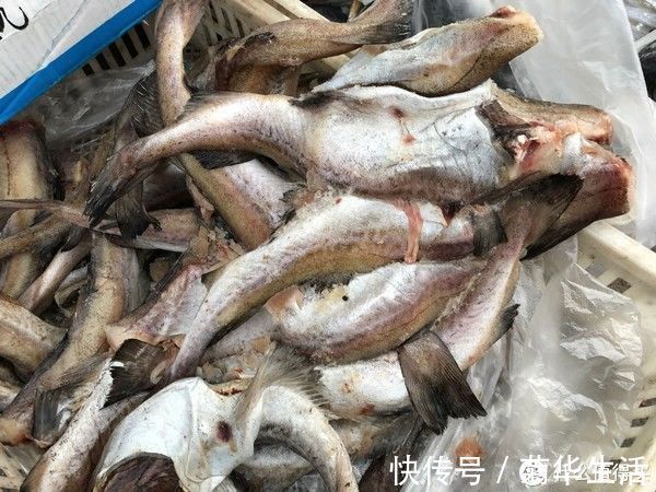 嫌弃|这种鱼总被人误解,比鲫鱼营养,却因冷冻被嫌弃