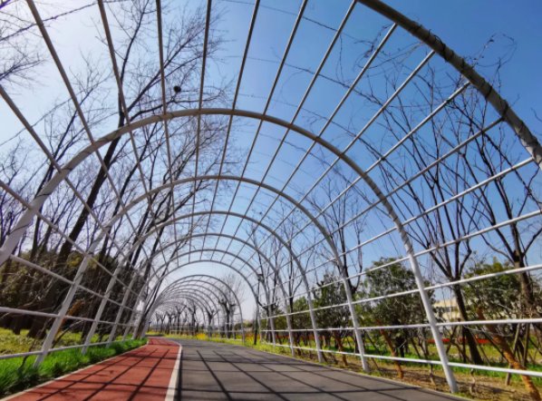 中薪|天呐！听说最近上海人统统“膨胀”了！