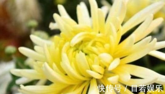 长寿|想长寿全靠吃,3种食物离不开,美容养颜,越活越年轻!