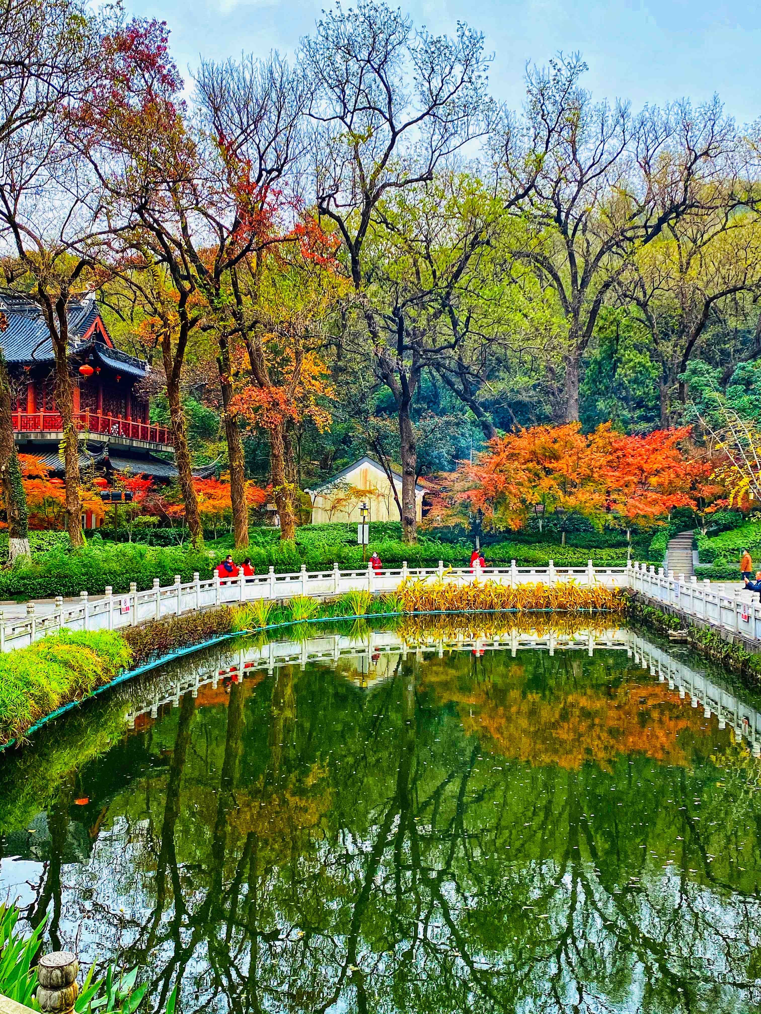 到栖霞山赏|初冬的南京栖霞山，来一场色彩斑斓的旅行