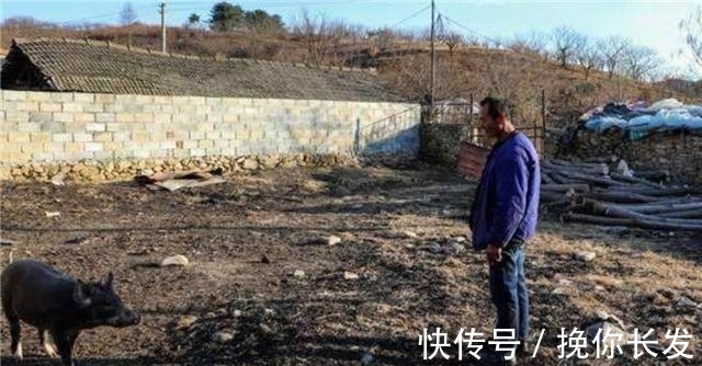 王承德|5年前,捡到140斤太岁,卖了300万一夜暴富的辽宁农民,近况如何