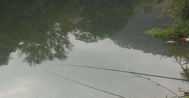浑水也能钓鱼,老司机漫谈夏季浑水钓鱼技巧