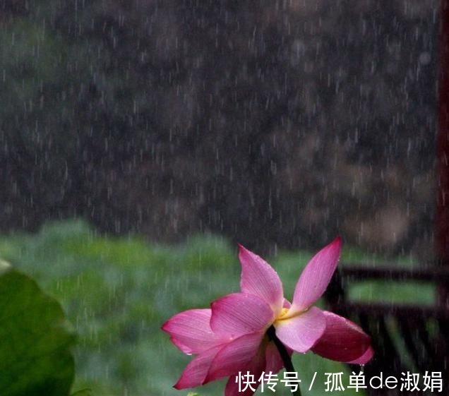 梅蕊$康熙皇帝莲池听雨,心情大好写下一诗,开篇2句就美得令人心醉