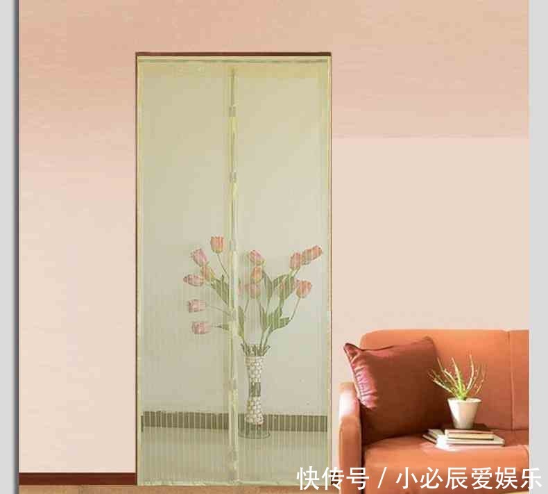 夏季|夏季蚊子乱嗡嗡?教你4个驱蚊小妙招,整夜开窗都不怕,睡觉更香