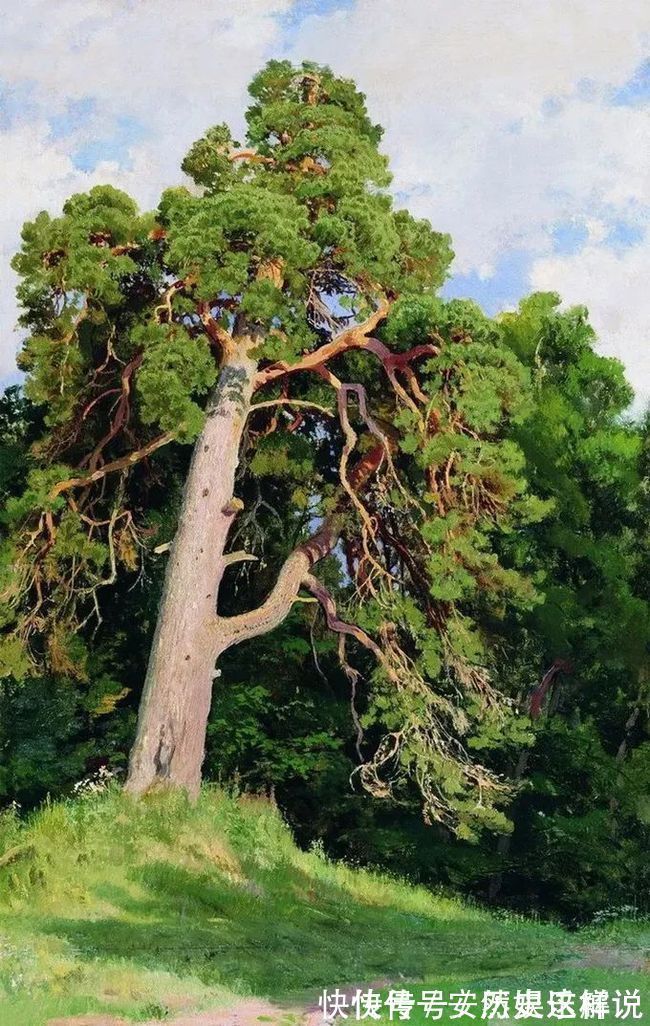 那个时代$俄罗斯杰出风景画家希施金的作品,诗一般的境界!