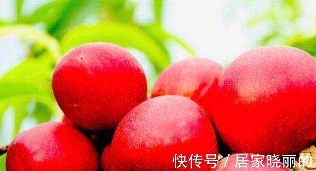 手脚冰凉|爱美的女人都在吃3种食物,消除炎症,预防子宫疾病,谁吃谁好