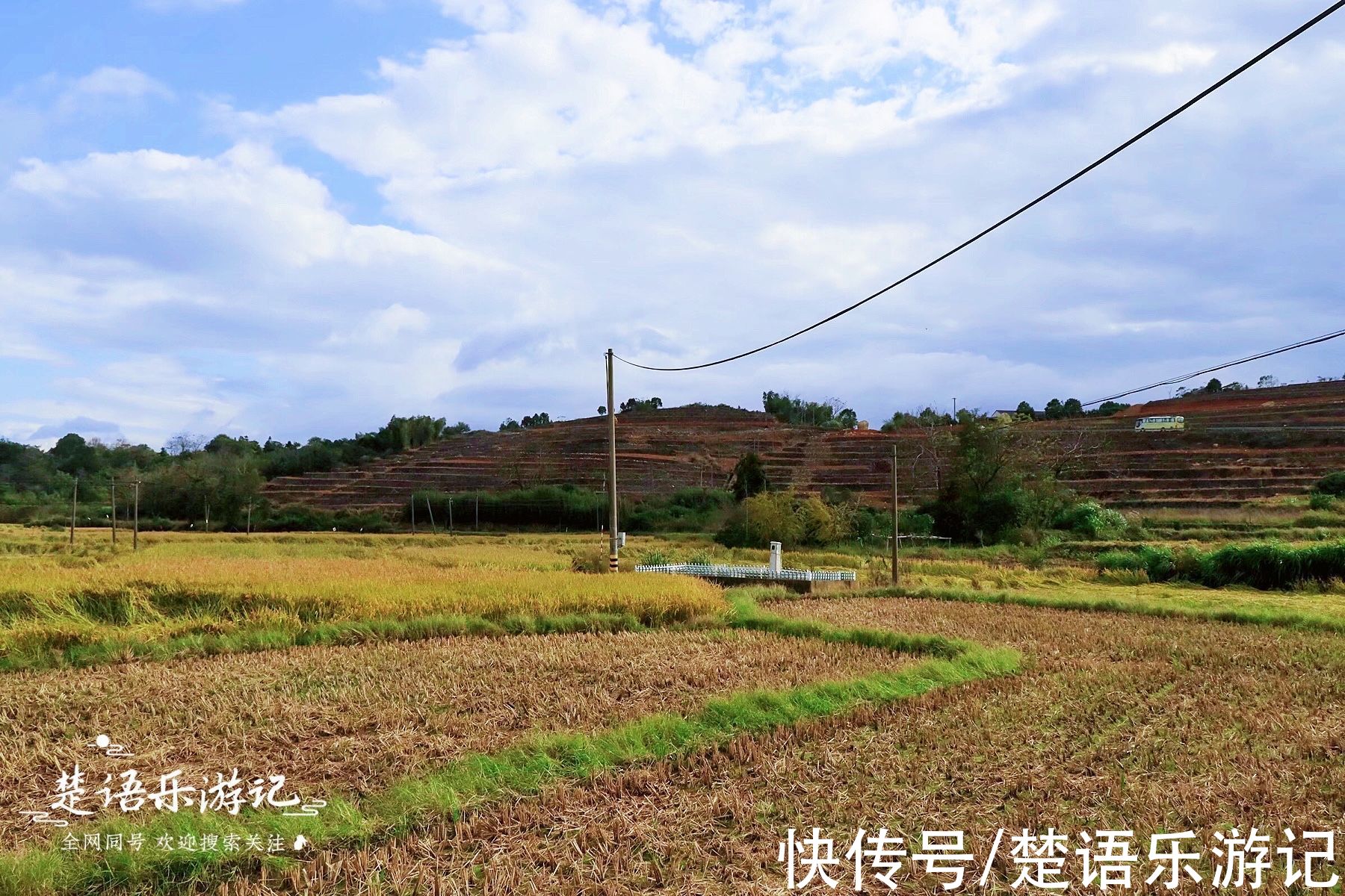 浙江这个古村被田野包裹，饱含田园风情，百亩梯田成为独特风景