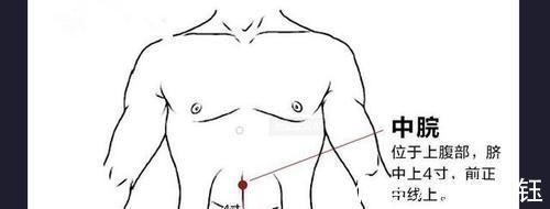 阴陵泉穴|穴位妙用,常按5个穴位,解决高血脂,远离心脑血管疾病