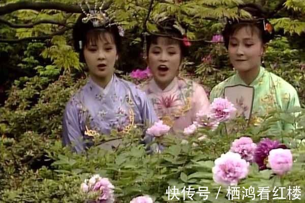 宝琴#贾政为什么不反对薛姨妈一家住在贾府?对贾府有什么好处吗?