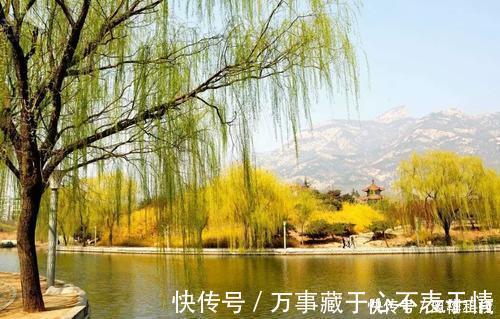 生命力&贺知章笔下最美春天,短短四句都是千古名句,结尾更千年无人能越