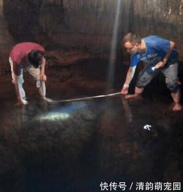 刘媪#“真龙”现世,长近13米,最粗处达6米,专家:至少存在了上亿年