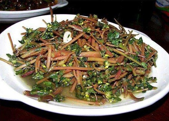 消化不良|消化不良可多吃3种路边野草，促进消化还能够清热解毒，好处多多