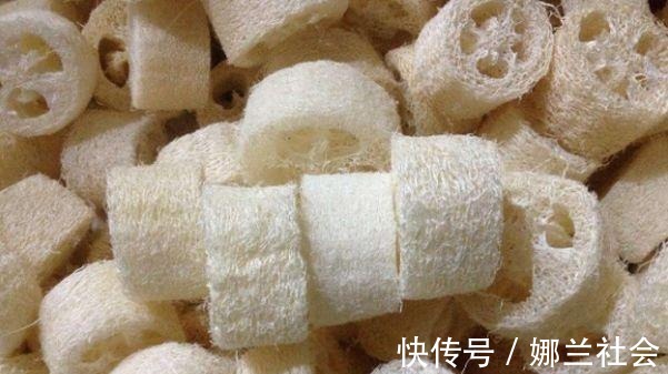 长寿花|君子兰肥到流油,长寿花开不断,原来他用了这个小方法!