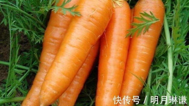 好吃|胡萝卜怎么做好吃简单食材的花样菜谱，宝宝很爱吃