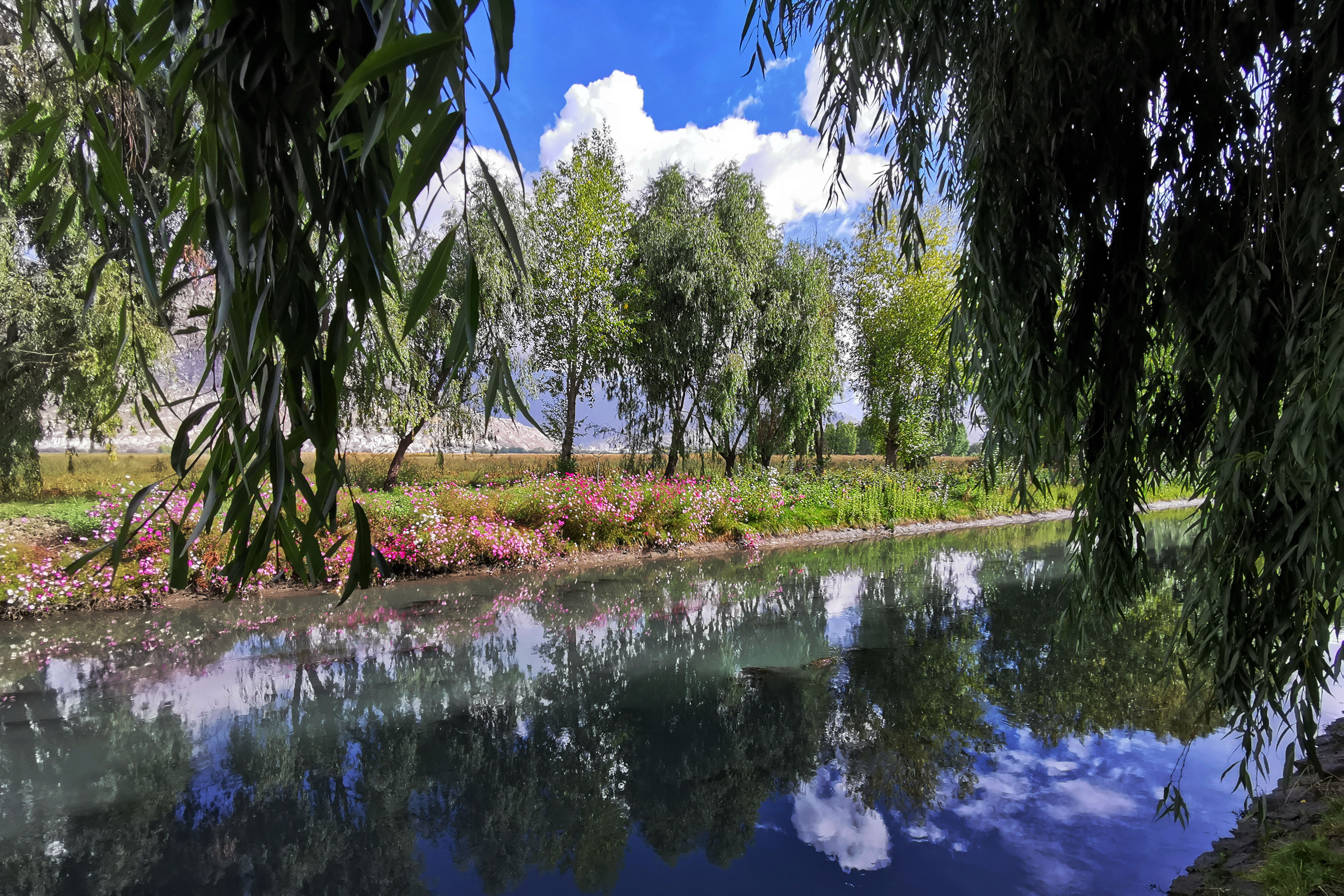 大昭寺|【80天单人单车环藏之旅】观览佛教圣地大昭寺，八廓街猎摄盛装美女