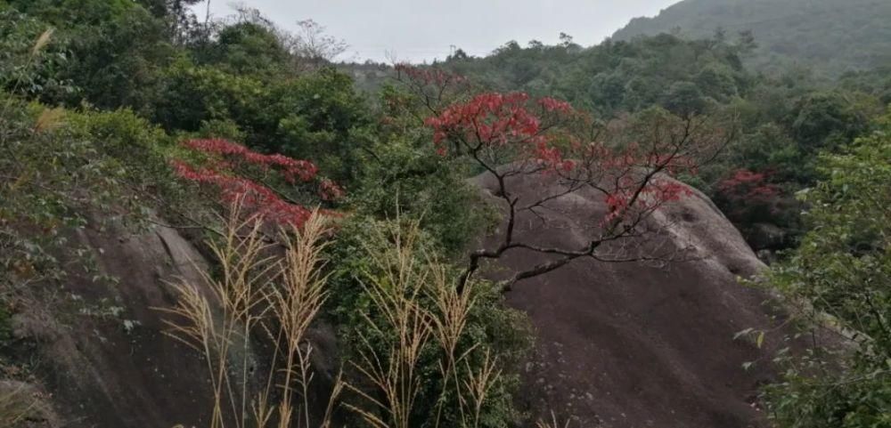 驴行|热烈祝贺25位驴友驴行乌山老人峰圆满成功！