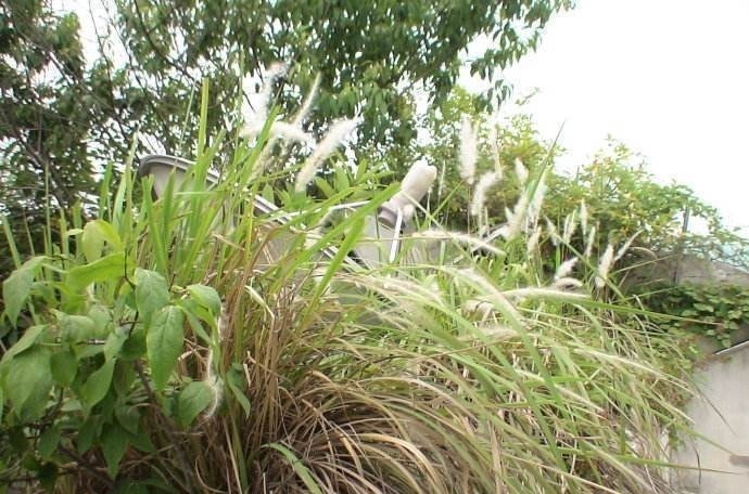 清热解毒|好身体全靠吃,坚持常吃以下食物,清热解毒,凉血止血,身体强壮