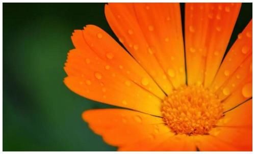 要求|你的内心恐惧越多，你对孩子的要求也便越多