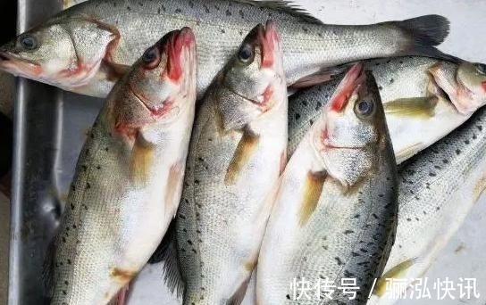 含“寄生虫”最多的3种鱼，没营养还难吃，鱼贩子宁愿丢掉也不吃