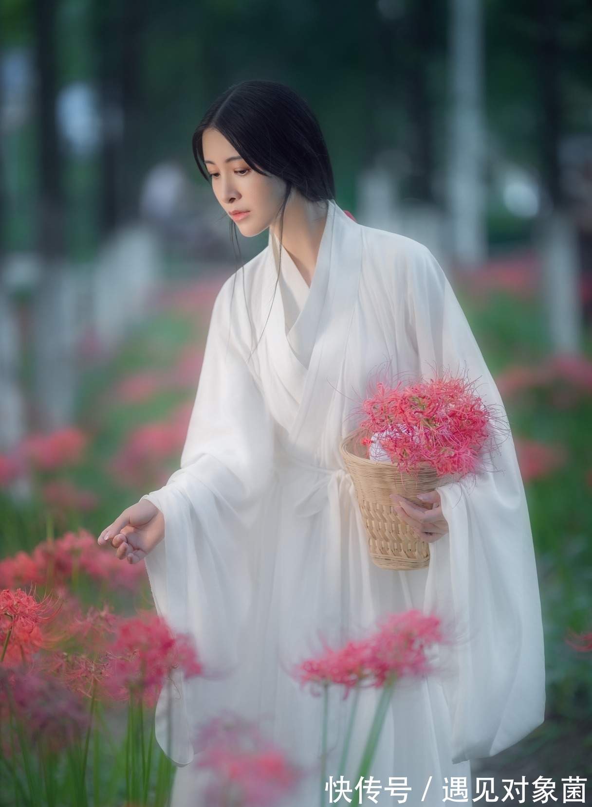 鸣蛙$诗·八首丨朝游野岭寻佳句，晚向渔樵举酒壶