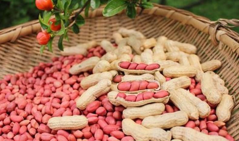 气血不足百病生！补血其实并不难，以下5种食材