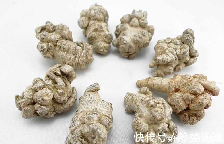 名医|养发先养血!清代名医王清任:一个方子,轻松搞定3年严重脱发