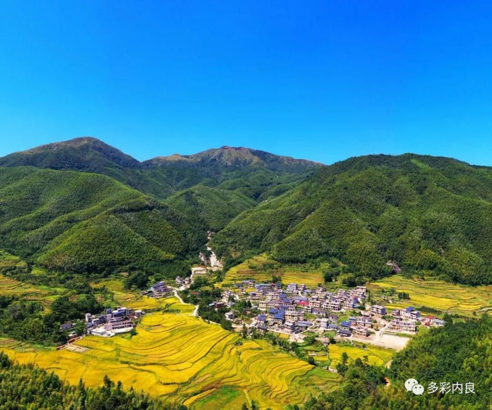 生态|喝着山泉水长大的内良高山稻米，认识一下