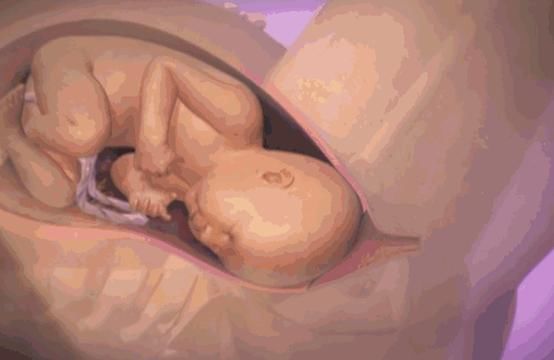 你在产房用力的时候,胎儿在干什么?他可没闲着哦,看完满是感动