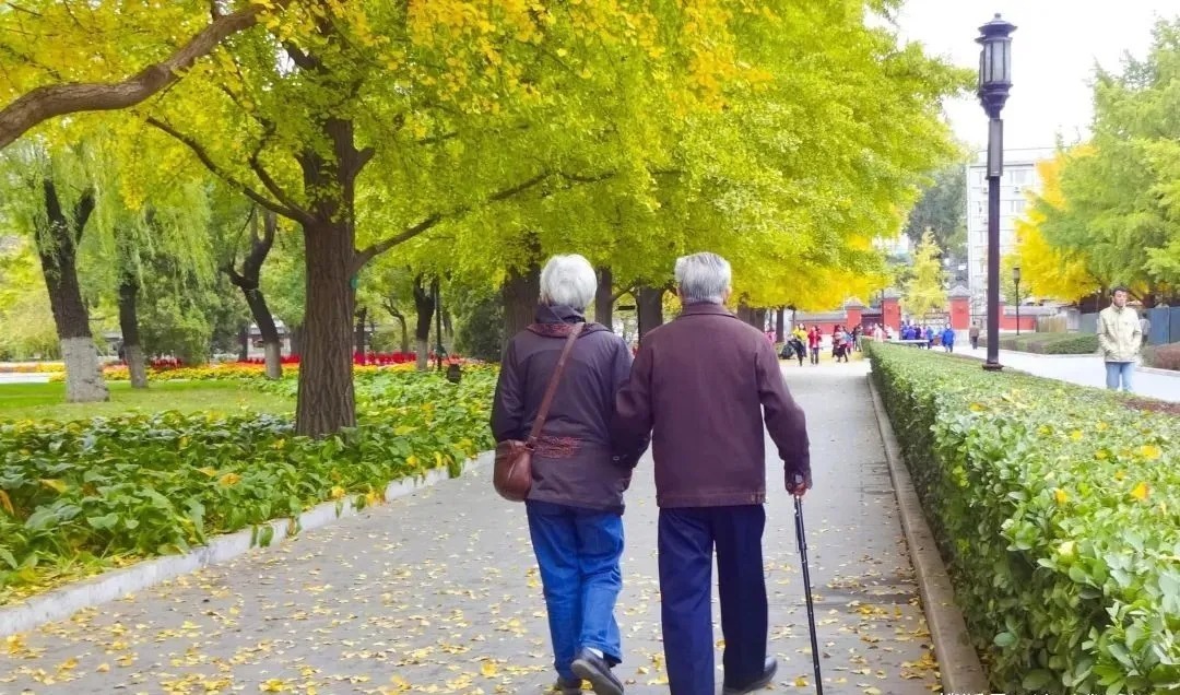 神经细胞|北京医院副院长:很多“病”其实不是病,就是人老了!