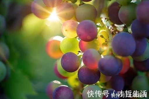 维c|这些习惯,正在偷走体内的维生素,吃再多也不管用!补救方法别错过