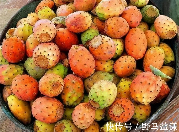 通便|女性想要身体好,多吃3种食物,排出湿气、润肠通便,帮助消水肿