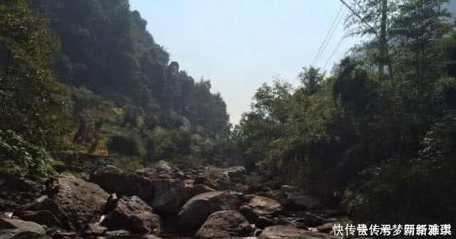 一种只属于山区的溪钓鱼种,如何垂钓特别