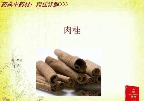 内经|桂附地黄丸和金匮肾气丸各自的功效有什么不同?