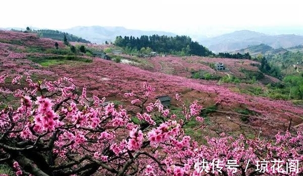 处女座|别扭的谈恋爱，明明很喜欢，却表现讨厌