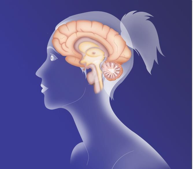 高血脂|越来越多女人提前更年期,医生直言:3个原因是祸首,女性要警惕