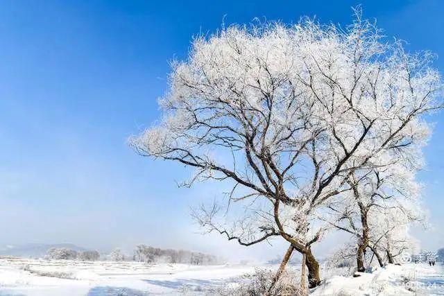 童话|冰天雪地，童话吉林