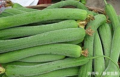 小知识|吃了丝瓜以后,一定别食用此种食物,为了健康着想,记得要忌口