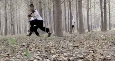 刘龙|这一家子，飒！