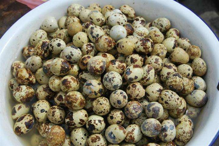 月经不调|十个女人九个有妇科病,此种食物每天吃一点,从此远离妇科疾病