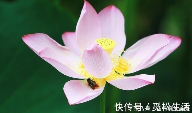 私欲@为什么人心总静不下来按照王阳明的这3句话去做,让你平心静气