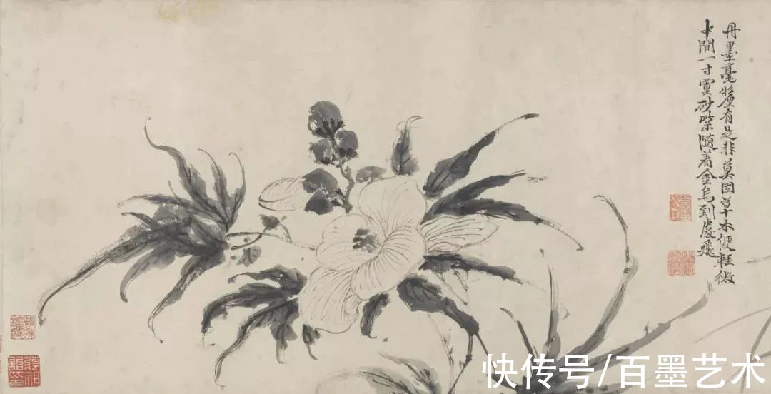 明朝@青藤白阳：明朝花鸟两大高峰