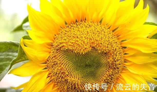 近期内，你是天涯，红线重连，月老助攻，甜蜜相拥，成功复合