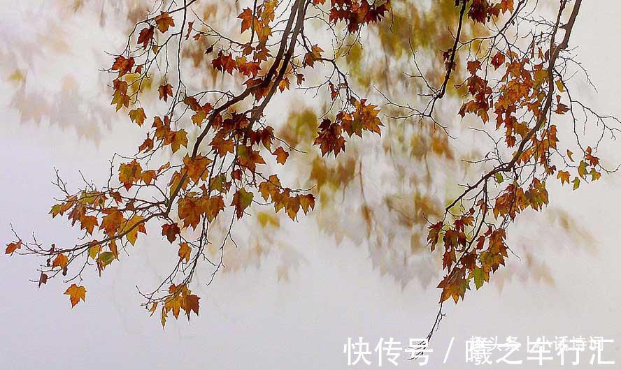 词章@李清照的雨中节奏,音乐与词章完美交融,读来扣人心弦动人心扉