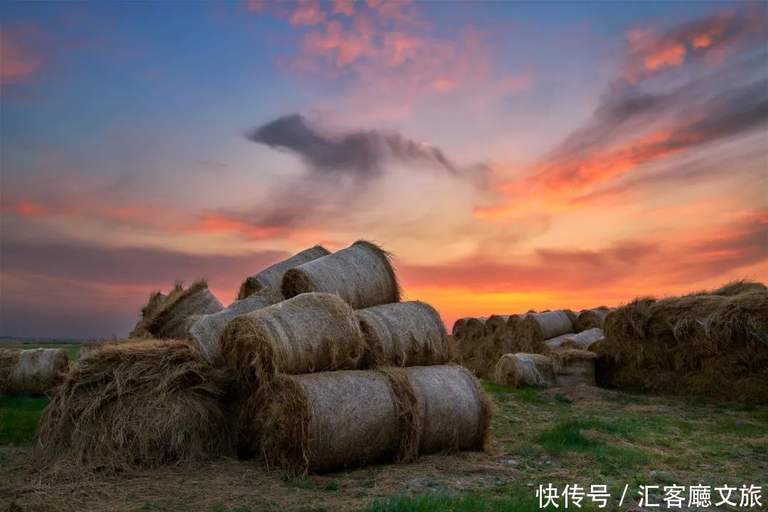 蒙古族|夏天的内蒙古草原，究竟有多美？