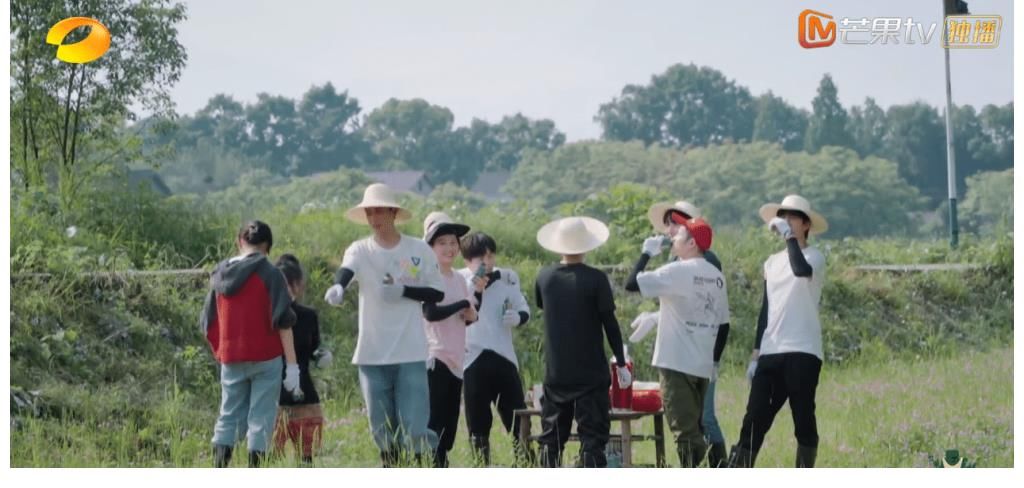 張子楓|《向往5》當張子楓割草沒帶冰袖時有誰注意梁靖康反應？太甜了吧