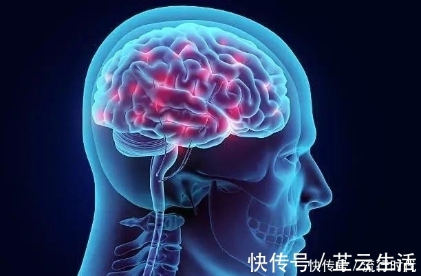 胆固醇|有种食物每天吃几个好处多多，防血栓、抗衰老、身体越来越健康