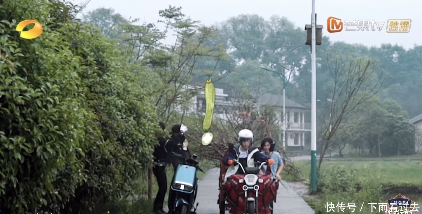 杨紫|杨紫张艺兴种树气氛微妙,我却只留意到她对何炅的举动,不服都难